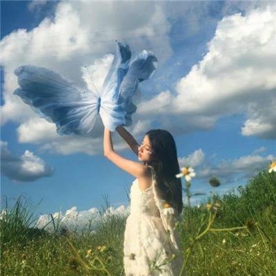 一只狗的大学时光海报